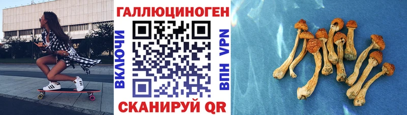mega ТОР  Мамоново  Галлюциногенные грибы GOLDEN TEACHER 